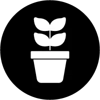 use-image