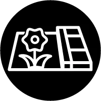 use-image