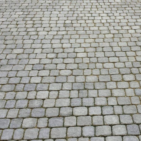 רמות-ענתיק-קוקטייל